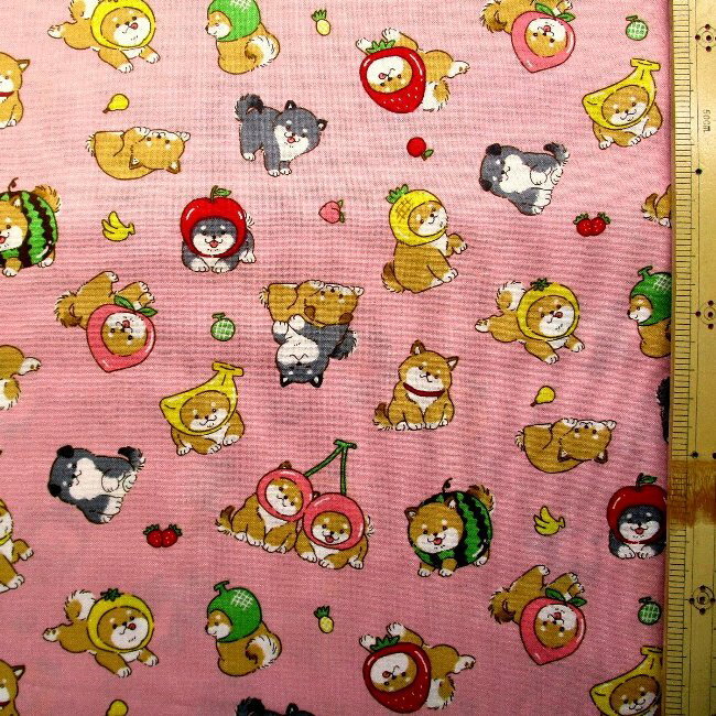 プリント生地 布 フル