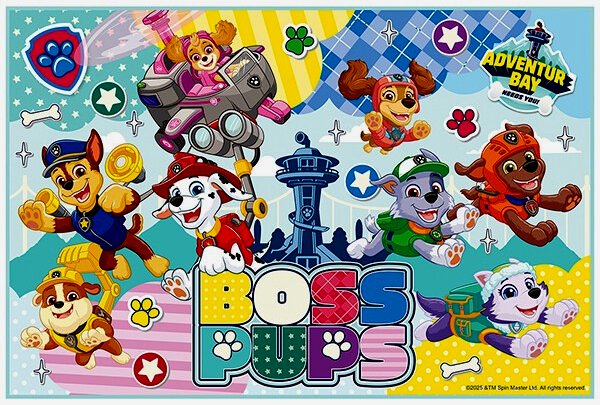 キャラクター レジャーシート パウパトロール ( Paw Patrol )（ パウパトロール 26 ）（ メーカー表記 ミニサイズ 1人用 )（ サイズ-約60×90cm ) （ レジャーシートパウパトロール レジャーシート パウパトロール パウパト ピクニックマット 一人用 )