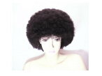 【送料無料】 アフロ ヘアー（AFRO-TF ブラック 黒）【ワンピース ブルック/ドラゴンボール ミスターサタン のだめカンタービレ/奥山真澄 矢島美容室 ファイナルファンタジー/サッズ・カッツロイ】etc… ハロウィン ウィッグ アニメ ゲーム かつら 舞台 ライブ 演劇 かつら