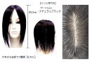 【送料無料】 人毛 100% 部分かつら 分け目用 薄毛 ウィッグ リアルな人工皮膚 【TP-Sタイプ 25cm ナチュラルブラック】さらさら ストレート ロン...