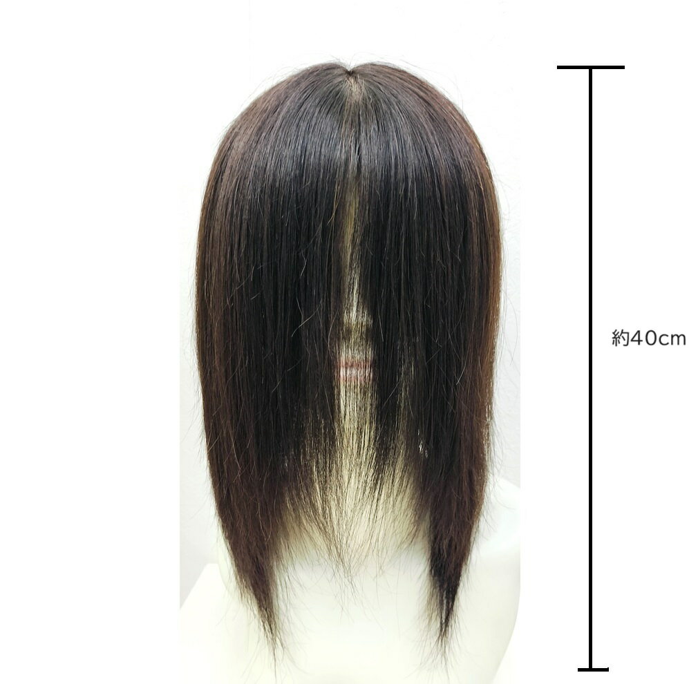 EML-4040 DB Mサイズ 【生え際レースタイプ/分け目引き抜きタイプ】 人毛100%(レミー) 全頭かつら 医療用 抗がん剤治療中 円形脱毛症