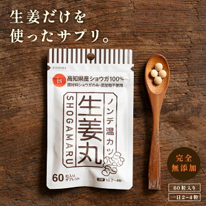 高知県産生姜100%使用　無添加サプリメント　ノンデ温カツ「生姜丸」