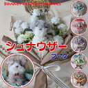 花束 シュナウザーの花束(6カラー)花 シュナウザー ぬいぐるみ入り花束 犬 DOG 花束 母の日フラワーギフトプレゼント 贈り物 誕生日 ギフト 卒業式 卒園...