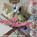 花束 フレンチブルドッグの花束(6カラー) 犬 花 フレンチブルドッグ フレブル ブヒ ぬいぐるみ入り花束 DOG 花束 母の日フラワーギフトプレゼント 贈り物...