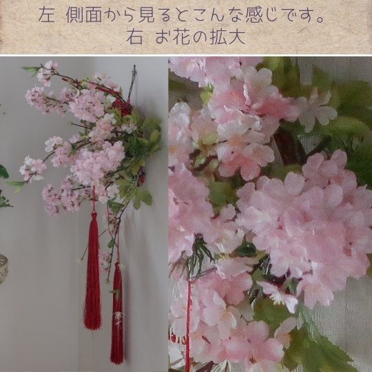 染井吉野 桜の壁飾り さくら ソメイヨシノ 和風 リース 造花 玄関 壁掛け 春 ディ...