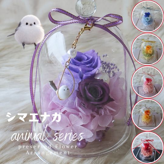 樂天商城 - 「小さくてかわいい シマエナガ チャーム付き プリザーブドフラワー アレンジメント」母の日 母の日ギフト プレゼント 花 プリザーブド ガラスドームアレンジメント シマエナガ フラワーギフト誕生日プレゼント 敬老の日 還暦祝い お供え 御供 供養 お悔やみ