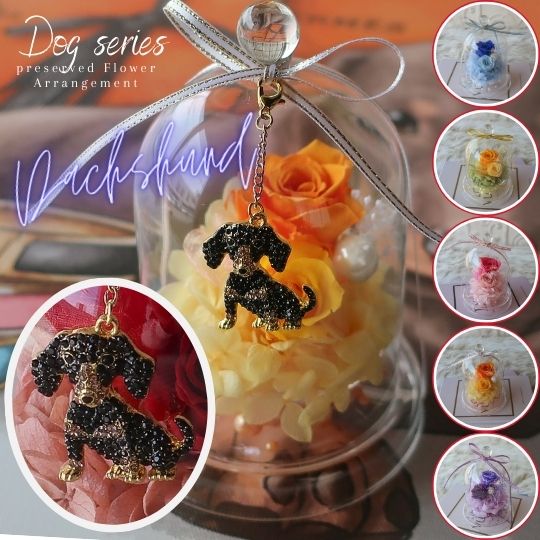 母の日 プリザーブドフラワー ガラスドームアレンジメント ダックスフンドチャーム付き （6カラー）フ..