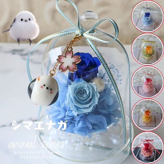 「数量限定 シマエナガ 桜 チャーム付き プリザーブドフラワー アレンジメント」母の日 母の日ギフト プレゼント 花 プリザーブド ガラスドームアレンジメント シマエナガ フラワーギフト誕生日プレゼント 敬老の日 還暦祝い お供え 御供 供養 お悔やみ