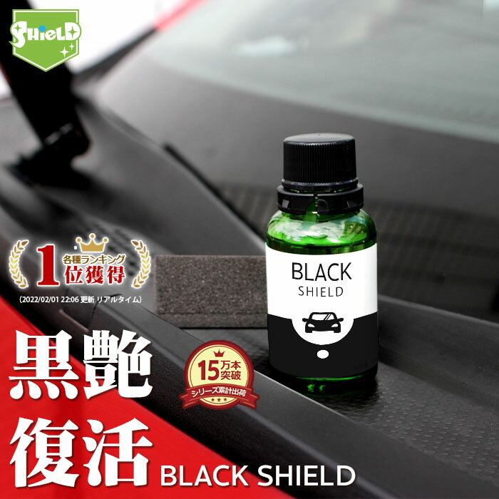 Black Shield 樹脂復活コーティング モールコーティング剤 30ml 未塗装樹脂コーティング 日本製 プロ仕様 黒艶 復元 1年耐久コーティング 車用品 カー用品 光沢復元剤 樹脂用 樹脂 樹脂バンパー 窓枠 モール 色ヤケ 色褪せ 色あせ 変色 洗車用品 白ボケ 保護 黒光り 1