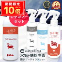 \P10倍+10%OFFクーポン/車 洗車セット カーシャンプー 泡立ち 中性 鉄粉除去 水垢取り 撥水コーティング 日本製 2ヶ月持続 マイクロファイバークロ...