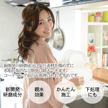 【楽天スーパーSALE / P10倍】住まいの スクラブ ウォッシュ クリーナー HOME SCRUB 60g | 日本製 プロ仕様 クレンザー 水回り 水まわり 水垢 水アカ 洗剤 掃除 蛇口 洗面台 窓ガラス 鏡 トイレ お風呂 タイル キッチン シンク コンロ レンジ 陶器 うろこ取り 車 ガラス 窓