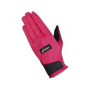 X^_[hO[uyasicszAVbNXEQUIPMENT GROUND GOLF GLOVE(GGG632)