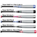 ミズノ MIZUNO 少年軟式用ビヨンドマックスEV2N 野球 カーボン 小学生 学童 バット 25AW(1CJBY18774/76/78/80)