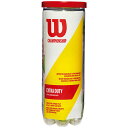 WILSON(ウイルソン)チャンピオンシップ エクストラ デューティー硬式テニスボール硬式テニスボールWRT100101W