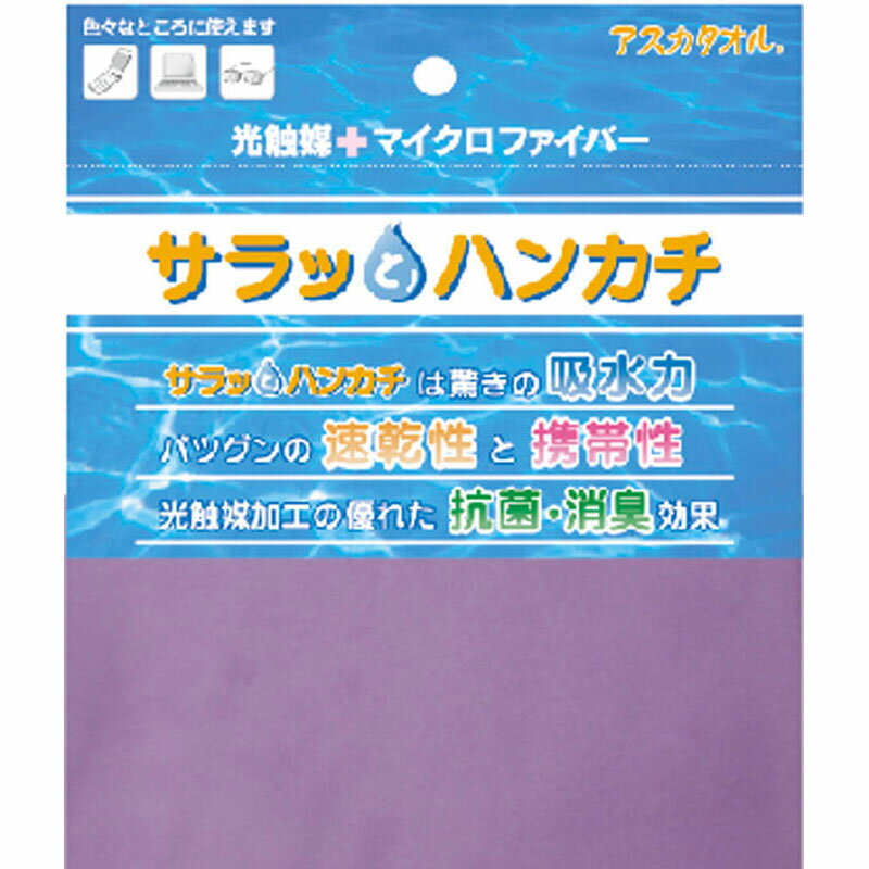 【ロット販売：入り数10】ASKA(アス