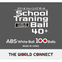 【ロット販売:入り数24】THE WORLD CONNECT(ザワールドコネクト)TWC スクール・トレーニングボール 40+ 100個入リ卓球 競技ボール(d...