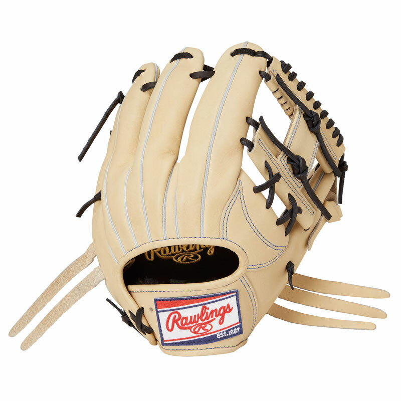 ローリングス Rawlings軟式 プロエクセル N6X CAM軟式用グローブ グラブ 25SSGR5HEN6X