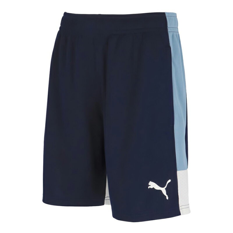 PUMA(プーマ)IndiviLIGA TR ショーツサッカーウェアゲームパンツ660976