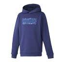 PUMA(v[})ACTIVE SPORTS HOODIEX|[cX^CEFAXEFbgVc677732