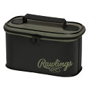 ローリングス RawlingsメンテナンスバッグMメンテナンス Accessories 23FW (EAOL13F03-B/GRN)