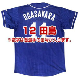 ミズノ MIZUNODragonsレプリカユニフォーム(ビジター/番号/個人名有り)野球 球団グッズ 中日ドラゴンズ(12JRMD33)