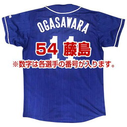 ミズノ MIZUNODragonsレプリカユニフォーム(ビジター/番号/個人名有り)野球 球団グッズ 中日ドラゴンズ(12JRMD33)