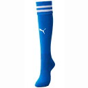 ラインイリ ストッキング【PUMA】プーマストッキング(729881)