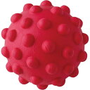 スッキリボールHARD【HATACHI】ハタチパーソナルトレーニング用品(NH3700)