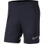 NIKE(ʥ)ʥ DRI-FIT ǥߡ21 ˥åȥ硼ȥå  ץ饯ƥѥ(CW6107)