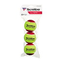 【ロット販売:入り数6】Tecnifibre(テクニファイバー)P+S STAGE 3 3 BALLS硬式テニス ボール 硬式テニスボール(63BALMYNEW...