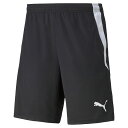 PUMA(プーマ)TEAMLIGA トレーニング ショーツサッカーウェアトレーニングパンツ657795