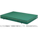 (代金引換・個人宅・北海道・沖縄県への配送不可)200X300X40CMカバー【TOEI LIGHT】トーエイライト学校機器(g1542a)