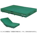 (代金引換・個人宅・北海道・沖縄県への配送不可)200X300X40CMカバー【TOEI LIGHT】トーエイライト学校機器(g1546a)