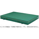 (代金引換・個人宅・北海道・沖縄県への配送不可)150X200X20CMカバー【TOEI LIGHT】トーエイライト学校機器 器具(g1214a)