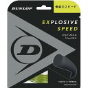 EXSPD RL DST12021【dunlop】ダンロップテニステニス硬式 ガツト(dst12021-300)