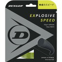 EXSPD ST DST11021【dunlop】ダンロップテニステニス硬式 ガツト(dst11021-300)
