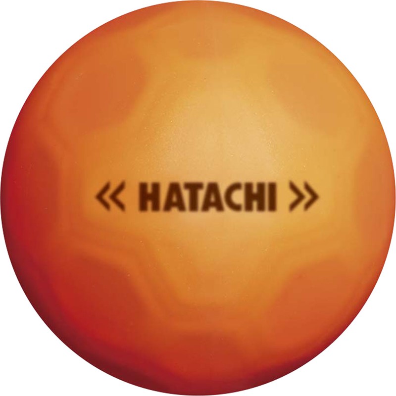 hatachi(ハタチ)SHOOTボールGゴルフ競技