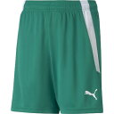 puma(プーマ)TEAMLIGA ゲームパンツ JRサッカー WUPニットH・3/4P(705145-05)