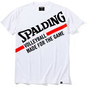 spalding(X|fBO)o[TVc ChtH[UQ[o[  TVc(smt22074v-2000)