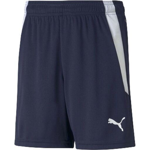 puma(プーマ)TEAMLIGA ゲームパンツ JRサッカー WUPニットH・3/4P(705145-06) puma(プーマ)TEAMLIGA ゲームパンツ JRサッカー WUPニットH・3/4P(705145-06)