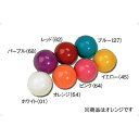 カラーボール(1個)【HATACHI】ハタチリクレーショングッズ(GB992-54)