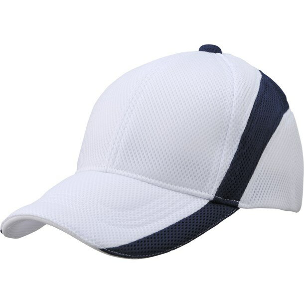 եĥȥĥסDESCENTEۥǥ եCAP(c714b-swnv)
