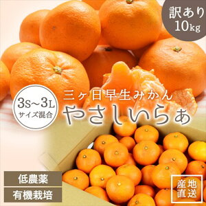 【 訳あり 】 低農薬 有機栽培 三ヶ日 早生 みかん 10kg 送料無料 訳あり やさしいらぁ 3S 〜 3L サイズ不揃い 特別栽培 有機肥料 三ヶ日みかん 産地直送 農家直送 ミカン 蜜柑 10キロ 静岡県 小粒 小玉 大粒 大玉 果物 フルーツ 自宅用 美味しい 家庭用 お返し 希少 お歳暮