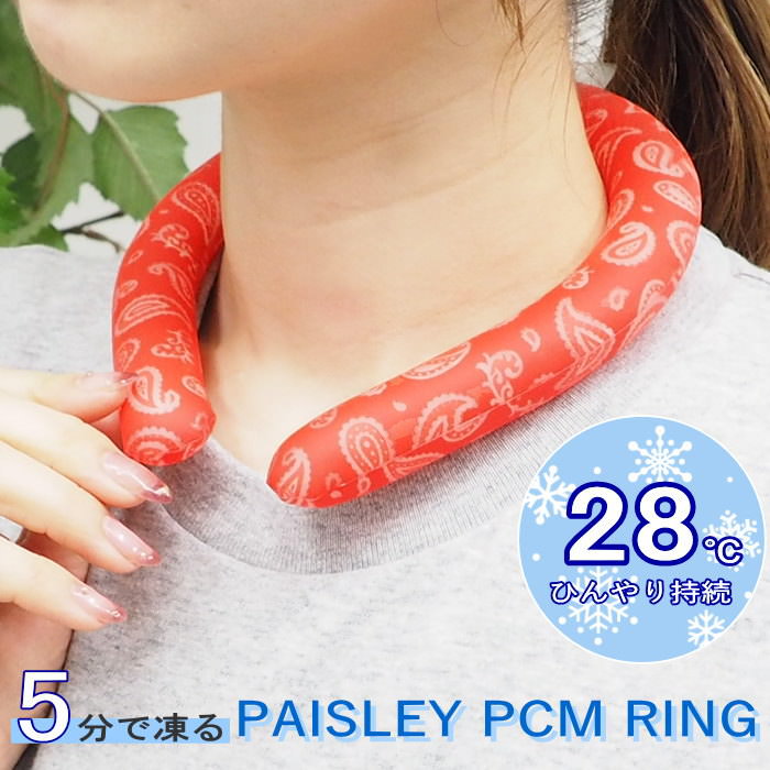 [o] [ PAISLEY PCM OM bh ] lbNN[[ lbNO A549RD S N[ N[O Ђ p ⊴ObY MǑ΍ JԂg  p^I l W[ yCY[   ylR|X֑z