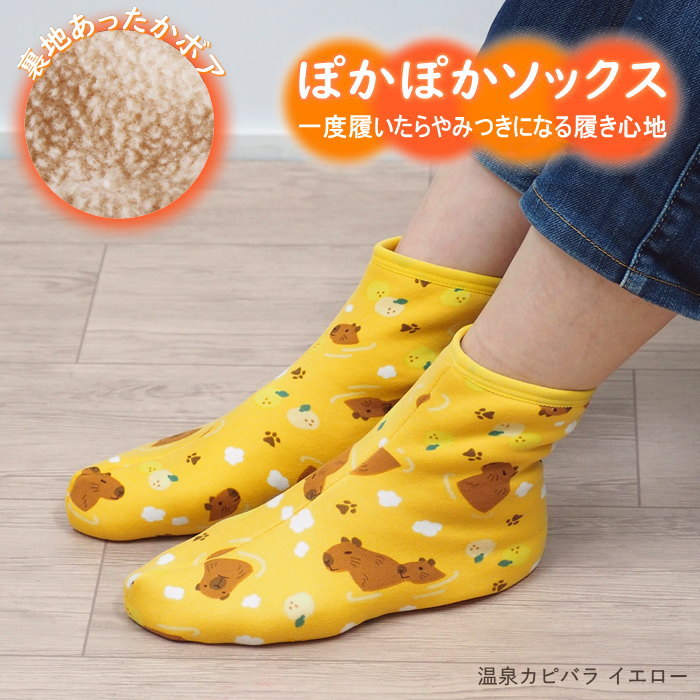 [¨в] [ ݤݤä󥯥 ԥХ饤 2003971-05 ǰ ]  ǥ ߤ å 롼ॽå ݤ...