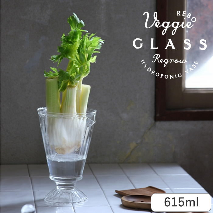 [あす楽] 花瓶 ガラス リボベジ ガラスベース KEGY2130 スパイス SPICE 小さめ 家庭菜園 再生野菜 リボーンベジタブル おしゃれ ベース 脚付き 水耕栽培 2way デザートグラス 野菜 植物 花 多肉植物 キッチン 食卓 ディスプレイ かわいい 【あす楽対応】のサムネイル