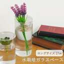 あす楽 BULB VASE 水栽培ガラスベース クリア ロング 花瓶 水栽培 ガラスベース BULB VASE KEGY4070 spice おしゃれ 容器 一輪挿し 大きい ガラス フラワーベース 北欧 鉢 球根 花 枝物 観葉植物 多肉植物 バルブベース クロッカス シンプル 【送料無料】