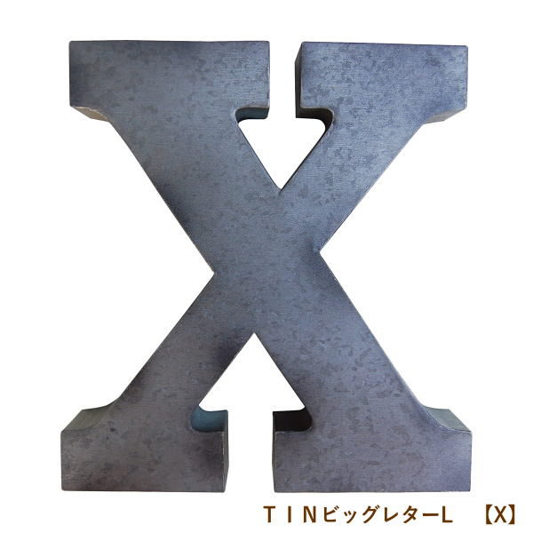 [] [X] TINӥå쥿L ե٥å ֥ 礭 ֥ꥭ ƥꥢ  ˥ ʸ ɽ  ...