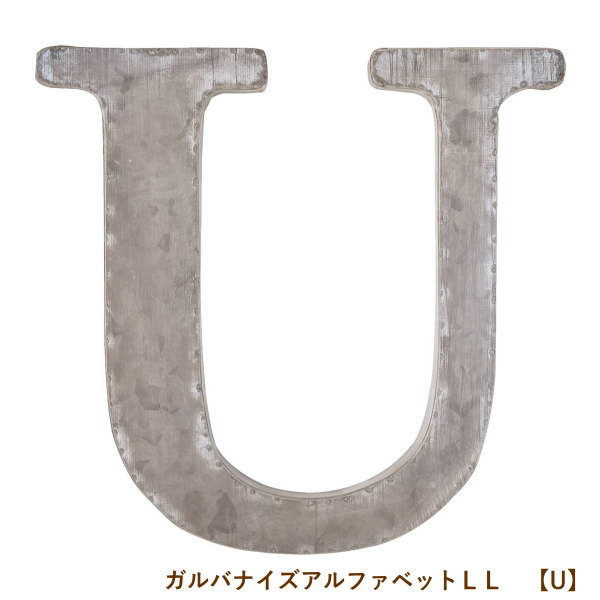 [] [U] Хʥե٥åLL ե٥å ֥ 礭 ֥ꥭ ƥꥢ  ˥ ʸ ɽ ...