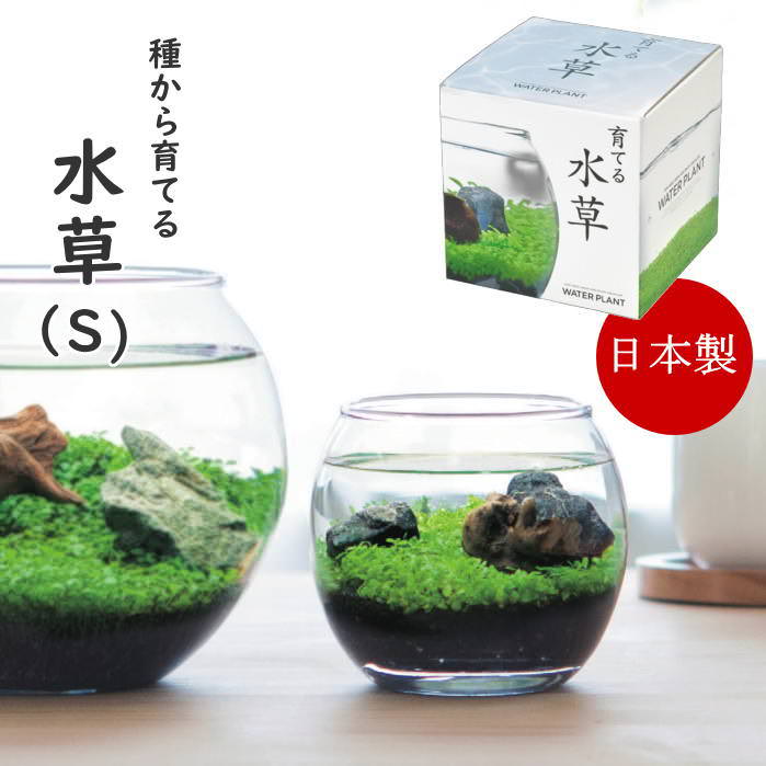 水草育成用品 一式 楽天市場】水草キットの通販